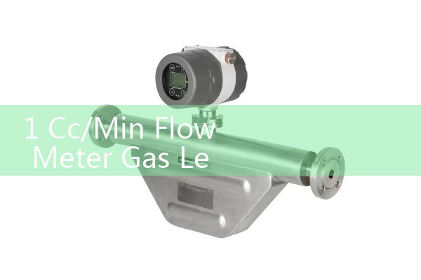 1 Cc/Min Flow Meter Gas Leak Detection Methodologies